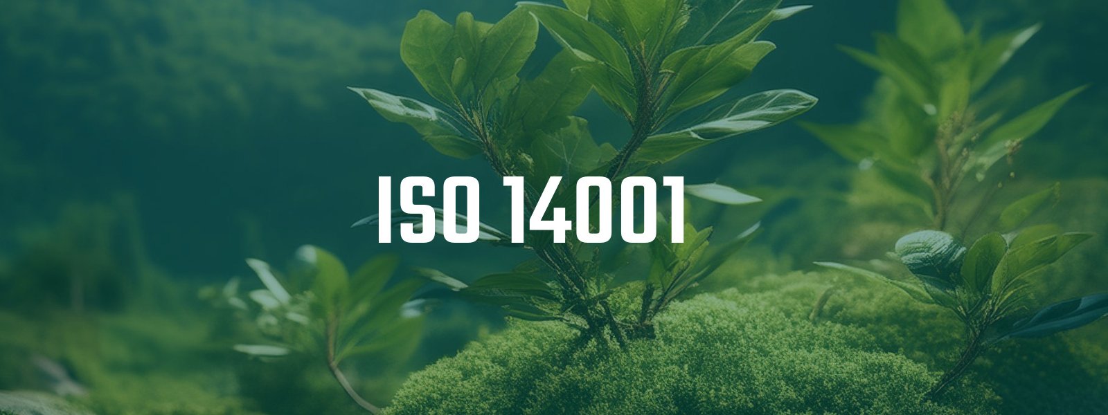 iso 14001