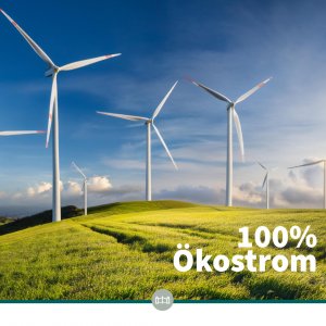 100% Ökostrom